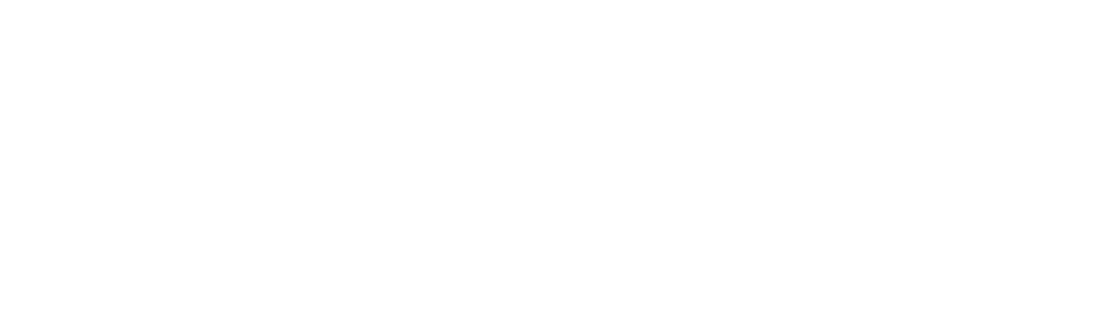VEIJ