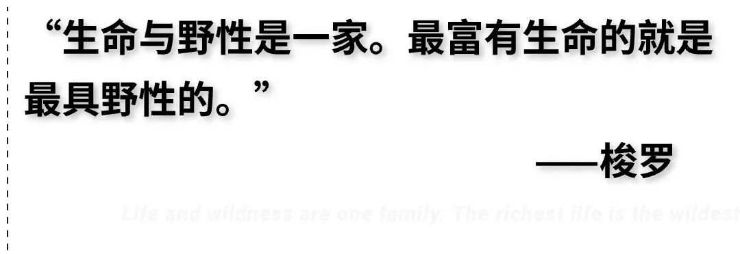 蔚见｜重新设计与日常生活的距离